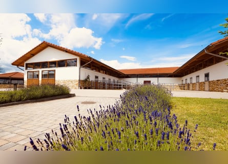 Equestrian idyll meets design – living in style, enjoying luxury V13132