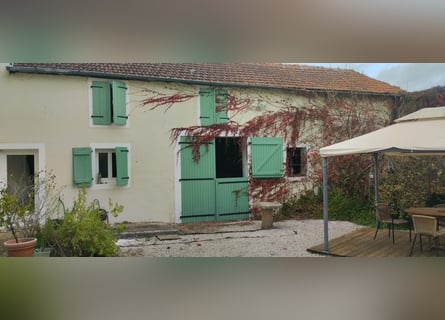 Equestrian property with character on 42 acres