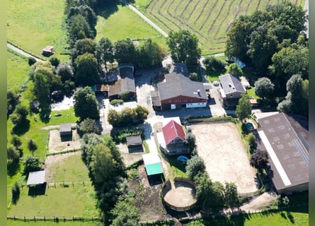 Established ranch and riding facility – approximately 8 hectares of well-shaped land – versatile use