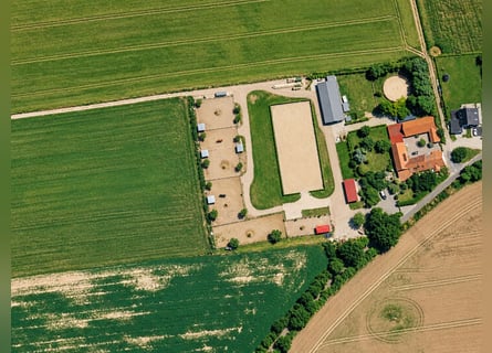 Exceptional equestrian estate featuring over 900 square meters of living space and approximately 50