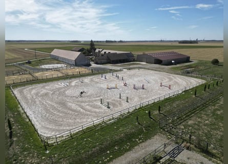 Exceptional Equestrian Property with Great Potential
