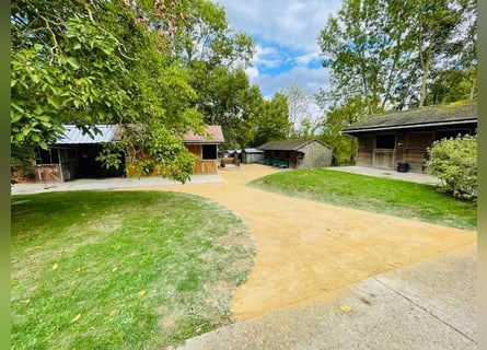 Exceptional equestrian property with multiple residences