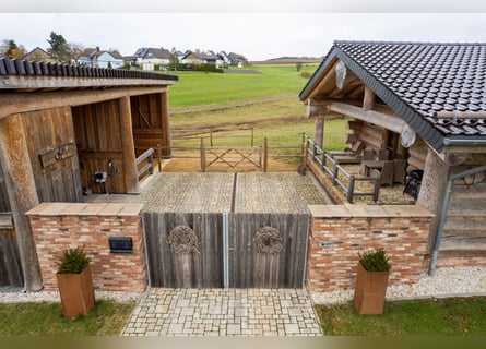 Exclusive equestrian estate nestled in the heart of the Eifel countryside