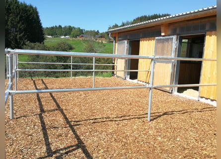 Exclusive equestrian estate with Alpine panorama – a horse paradise with great potential V13084