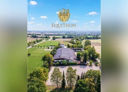 Exclusive Equestrian Facility with Clinic & Horse Rehabilitation Centre near Stuttgart