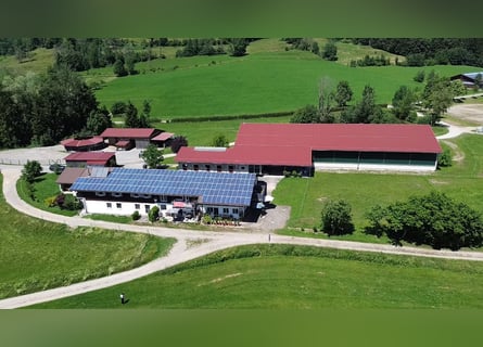 Exclusive equestrian facility with residential and investment potential in the Allgäu
