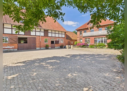 Exclusive estate featuring a stylish residence, expansive pastures, and an exceptional equestrian fa