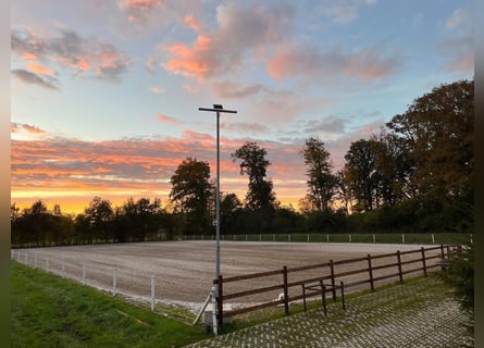 Exclusive riding facility between Münsterland and East Westphalia, offering top-level living and tra
