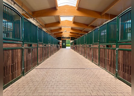 Exclusive riding facility near the Eifel National Park – high-quality amenities and convenient acces