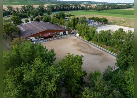 Exclusive riding facility with a recently renovated main house, indoor riding arena, and spacious pa
