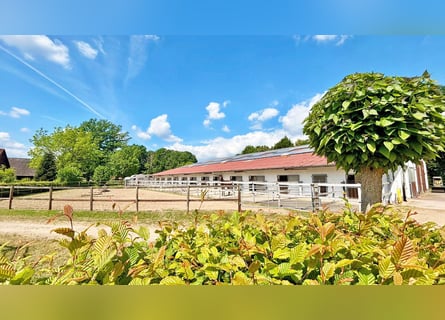 Exclusive riding facility with a spacious residence and versatile usage options in Bielefeld
