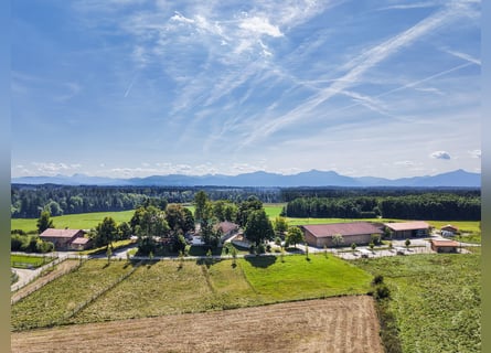 Exklusiver Pferdebetrieb im Chiemgau - PREIS AUF ANFRAGE