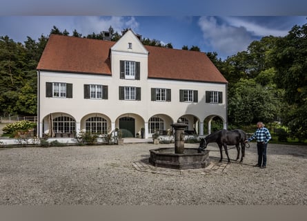 Exklusives Gestüt und Landsitz in Alleinlage mit Wassermühle und 12,4 ha Koppeln und Wald