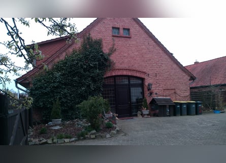 Farmstead / Multi-family house / Property for sale