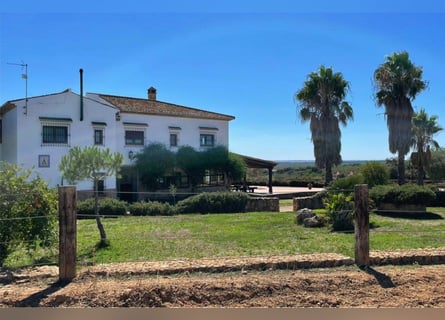 Finca De Ensueño De Más De 90 Ha Cerca De Sevilla