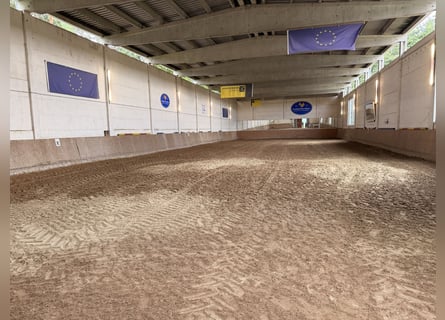 FOR RENT: Stable block with 12 boxes and numerous amenities south of Berlin – suitable for a profess