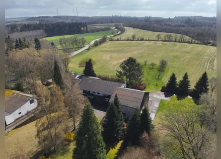 Freedom on 42 acres: Spacious estate in a secluded location with riding arena, swimming pool, and ex