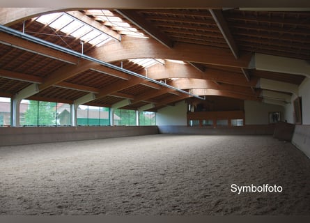 Fully operational riding facility in South Vienna