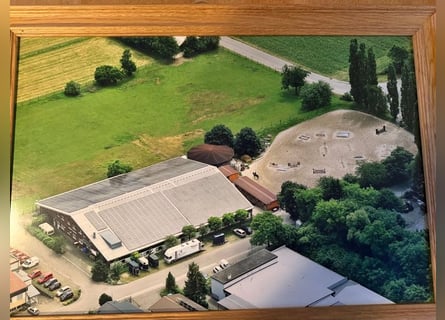 Gepflegte Reitanlage direkt an der Grenze zur Schweiz!