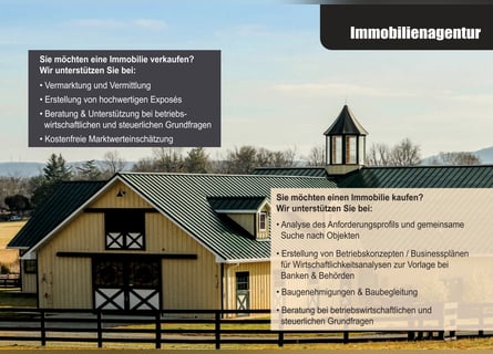 Grünland mit genehmigtem Bauprojekt für Wohnen & Pferdehaltung nähe 36355 Grebenhain – 3,6 ha mit Tr