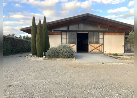 High-End Sports Stable