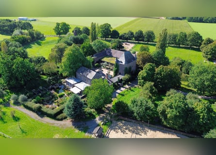 Historic estate with a park and private lake, perfect for nature and animal lovers!