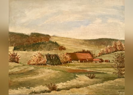 Historic estate with agriculture on a 40-hectare rounded property and horsekeeping, near Lake Consta