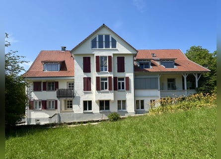 Historic estate with agriculture on a 40-hectare rounded property and horsekeeping, near Lake Consta
