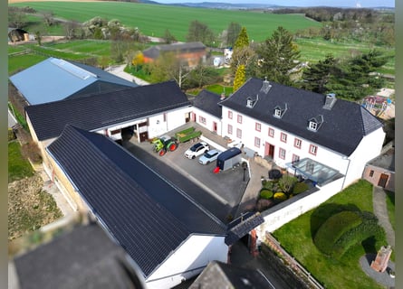 Historic rectangular farm with equestrian facilities