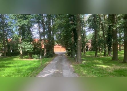 Hofstelle