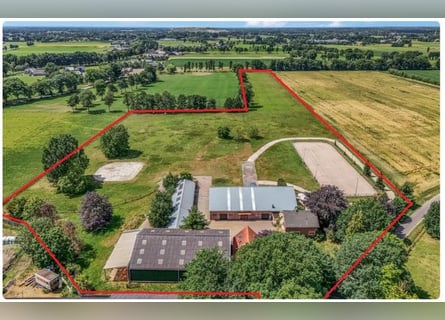 Idyllische paardenboerderij Kootwijkerbroek Veluwe te koop