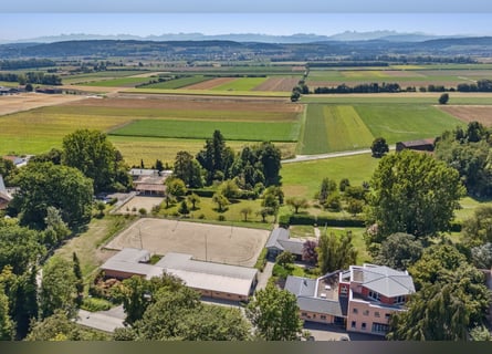 Idyllische Pferdesportanlage zu vermieten