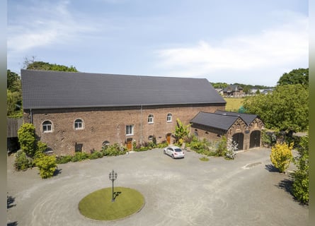 Luxury, nature, and horse enthusiasts. Welcome to Gut Wammen!