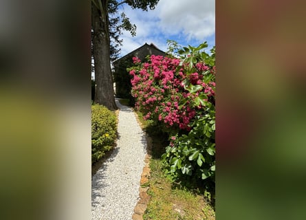 Multitalented Equestrian Facility in the Heart of Brie