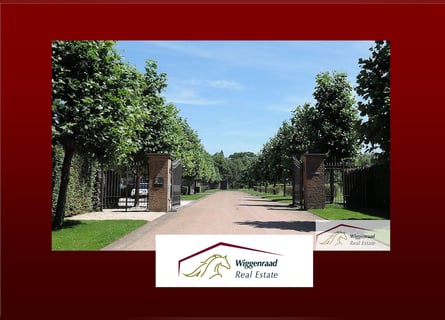 Noble estate for the highest standards, located at the border with Germany and the Netherlands.