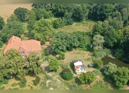 OPEN HOUSE am 28.9.: Gutshaus Scharpzow mit 2,2 ha und zusätzlichen Pachtflächen steht zum Verkauf