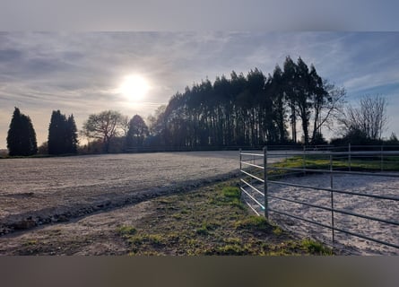 Private finca with a house and equestrian facilities