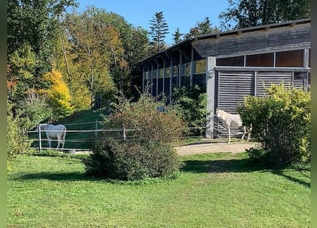 Private riding facility in the Vienna Woods