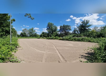 Professional Equestrian Facility for High-Level Sport in the Rhine-Neckar Metropolitan Region V1757