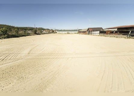 Rare opportunity in Île-de-France