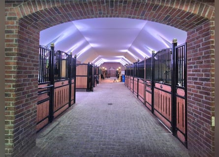 Reitanlage der besonderen Art!