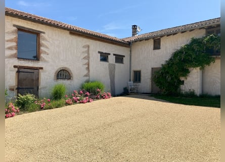 Riding School or Equestrian Center
