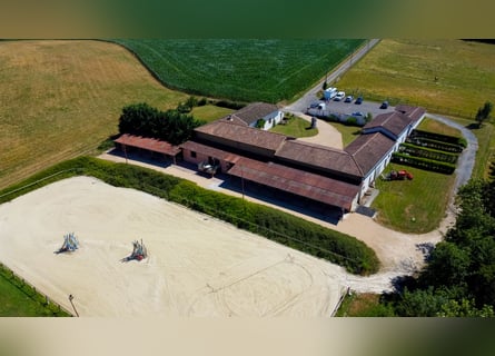 Riding School or Equestrian Center
