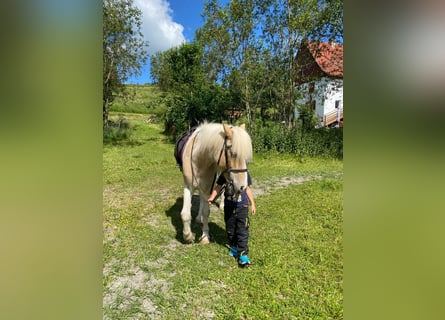 Small equestrian farm near Lake Constance for sale.