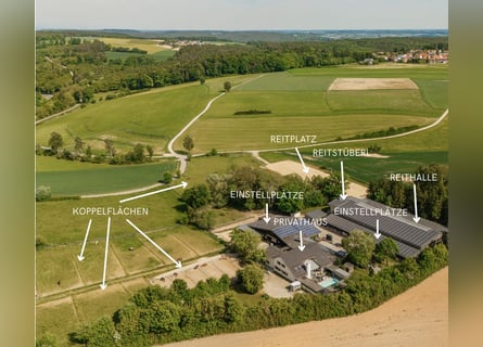 THE RANCH – An Exceptional Equestrian Centre