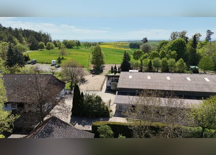 Unique riding facility set in a breathtaking panoramic location - 387-26