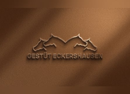 Aufzuchtsplätze & Plätze für Zuchtstuten 