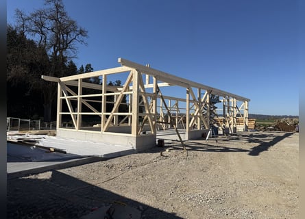 Stall spaces available from summer 2026 in a new facility for Icelandic horses