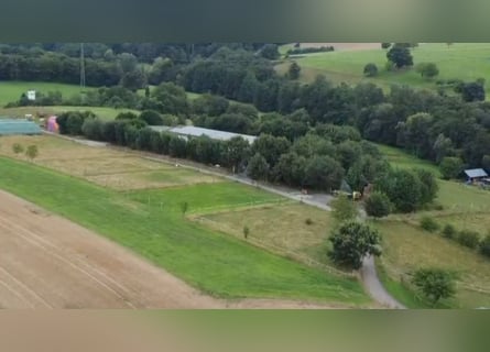 Paddock box available for rent