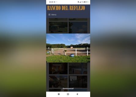 Paddock boxes available